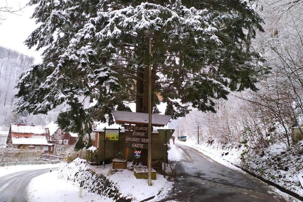 Haus Am Wald Zorge 16+ Gaeste Walkenried 外观 照片