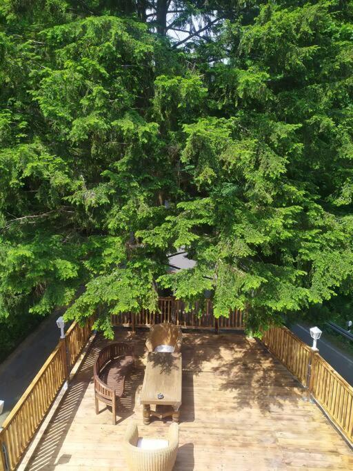 Haus Am Wald Zorge 16+ Gaeste Walkenried 外观 照片