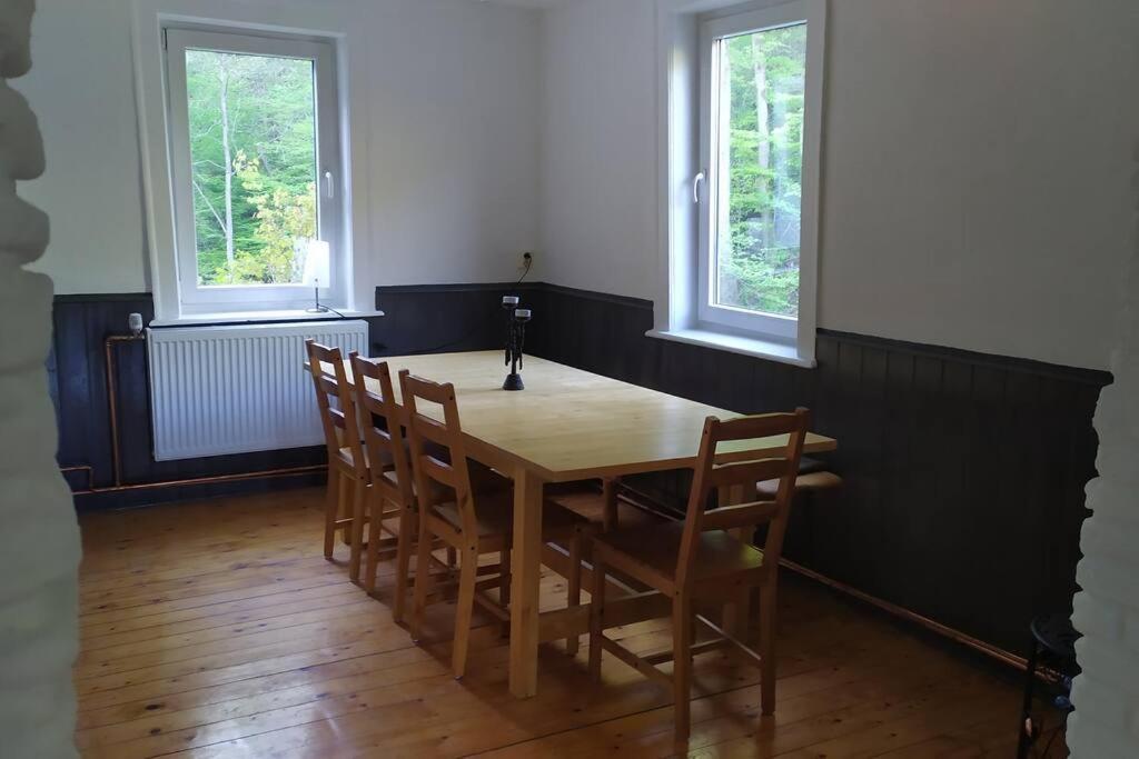 Haus Am Wald Zorge 16+ Gaeste Walkenried 外观 照片
