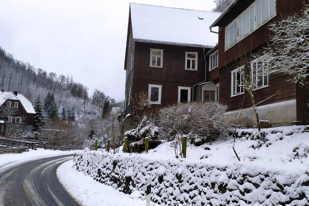 Haus Am Wald Zorge 16+ Gaeste Walkenried 外观 照片