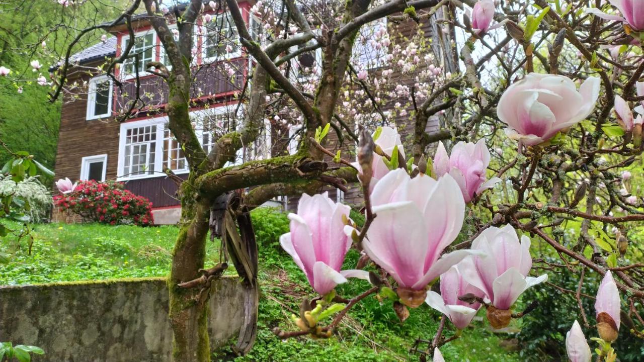Haus Am Wald Zorge 16+ Gaeste Walkenried 外观 照片